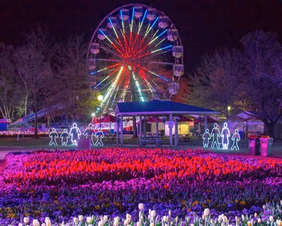 Giant Ferris Wheel